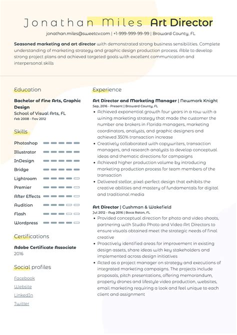 Art Director Resume Sample & Creative Director CV Template