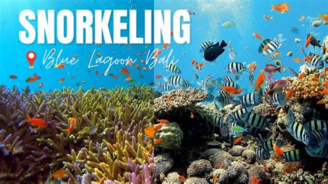 Snorkeling Blue Lagoon Bali - Unveiling the Hidden Wonders of Padang Bai, Bali (2023) - YouTube