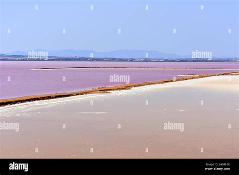 Pink salt lakes at the Torrevieja salt works, Torrevieja, Alicante, Spain Stock Photo - Alamy