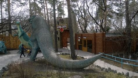 Novosibirsk Zoo, novosibirsk, Russia - Top Attractions, Things to Do ...