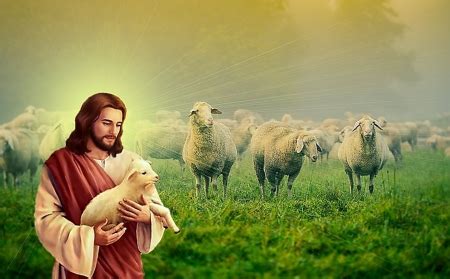 Good shepherd Jesus Christ - Collages & Abstract Background Wallpapers on Desktop Nexus (Image ...