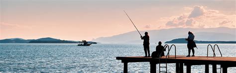 Dock Fishing 101: How to Rig, Bait, and Catch Fish Off a Dock | Curated.com