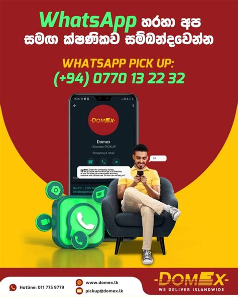 Domex | Courier Service in Sri Lanka | Express Delivery Service