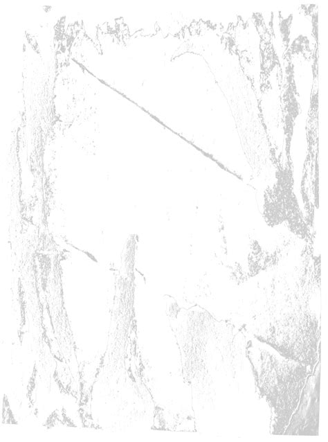 Rough Torn Paper Texture 18972634 Png - vrogue.co