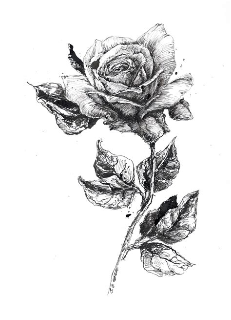 Original Artwork, Rose Ink Sketch, Rose Drawing, Original Art Rose, Original Sketch Art, Flower ...