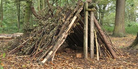 How Do You Build A Makeshift Shelter In The Wild?