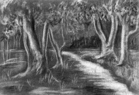 Forest Pencil Sketch at PaintingValley.com | Explore collection of Forest Pencil Sketch