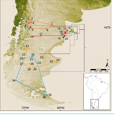 Figure 1 from Uncovering the species diversity of subterranean rodents at the end of the World ...