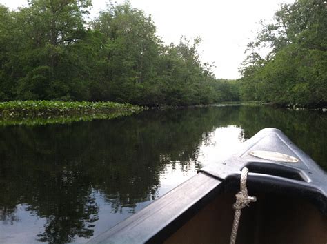 Pocomoke River State Park | Historic Horse Trails - Maryland Equine Heritage Trail Initiative