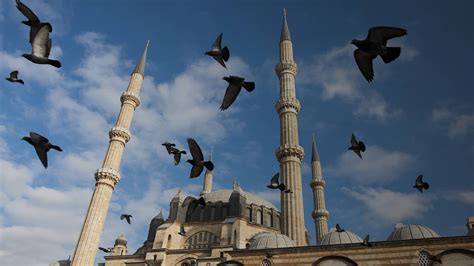 famous architects in the history of Turkish architecture Architectural Marvels - GoTürkiye ...