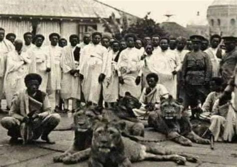 Here’s How Ethiopian-Trained Lions Helped Defeat Italian Troops In The ...