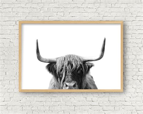 Highland Cow Print Black and White Farmhouse Decor Rustic | Etsy