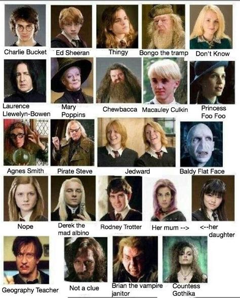 Handy guide to #HarryPotter characters 😉 | Harry potter movie characters, Harry potter memes ...