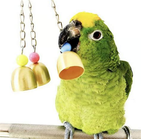 Bird Toy Hanging Bells - Pets For Homes | Pet Shop Mauritius