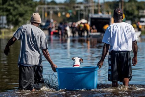 11 Ways to Help Those Affected by Natural Disasters