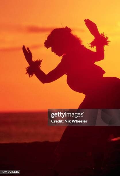 54 Hula Dancer Silhouette Stock Photos, High-Res Pictures, and Images - Getty Images