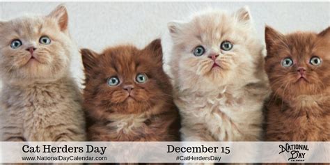 CAT HERDERS DAY - December 15 - National Day Calendar | Warrior cats books, Cats, Herding cats