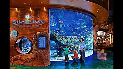 Silverton Casino & Bass Pro Shops in Las Vegas! | Aquarium las vegas ...