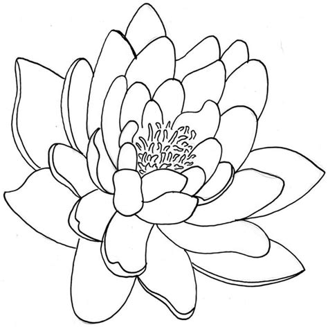 simple chrysanthemum drawing - Google Search Lotus Tattoo Design ...