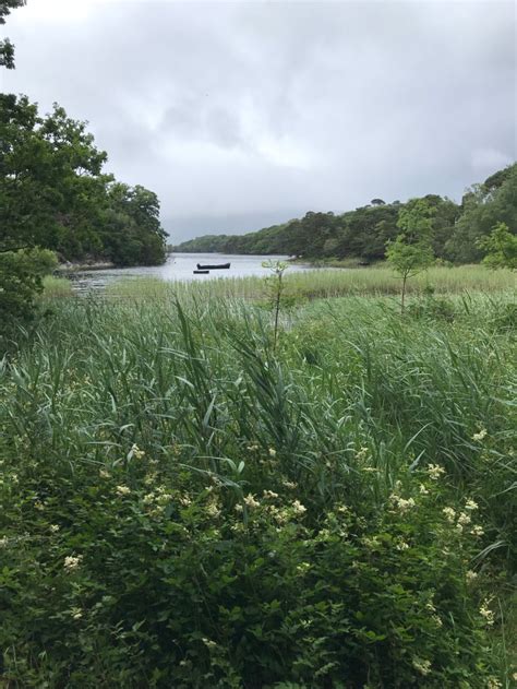 Cycling Killarney National Park in Kerry, Ireland | Ireland by Chance