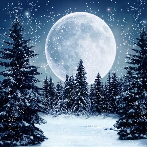 Laeacco Winter Snow Moon Night Forest Scene Baby Children Photography Backgrounds Custom ...