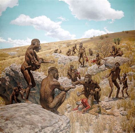 Australopithecus africanus - by Jay H. Matternes | Ancient humans, Prehistoric animals ...