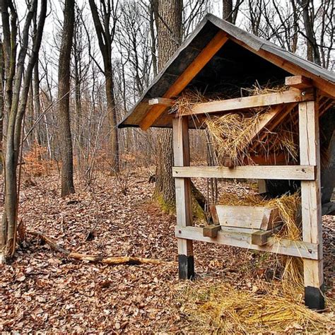 Shed hunting: Secrets of the Masters - TheGearHunt