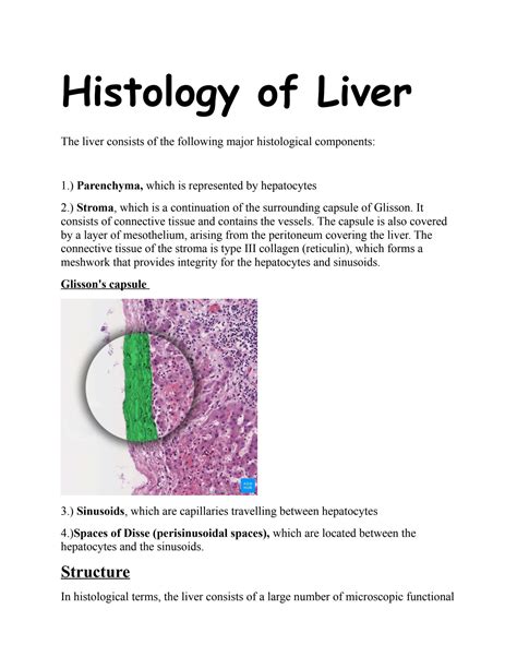 SOLUTION: Liver histology - Studypool