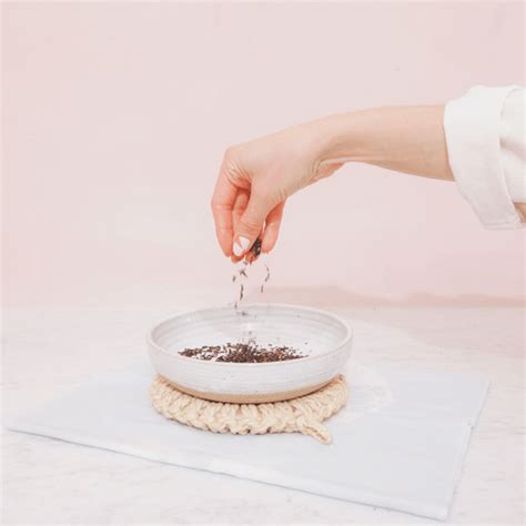 Hibiscus-Pistachio Iced Tea Latte Recipe with Alison Wu – Olderbrother