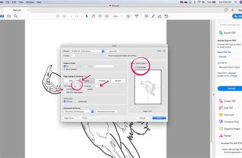 How to Enlarge a Picture to Paint - Trembeling Art