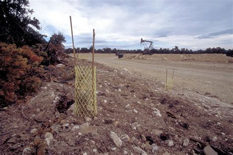 Public Domain Picture | Rehab in coal bed methane production units near ...