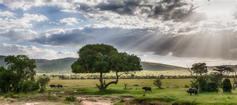 Eldoret Kenya Weather