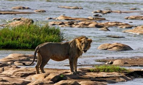 Tsavo River in Tsavo national park | Tsavo National Park | Kenya Safaris