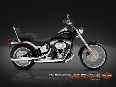 2007 Harley-Davidson FXSTC Softail Custom - Moto.ZombDrive.COM