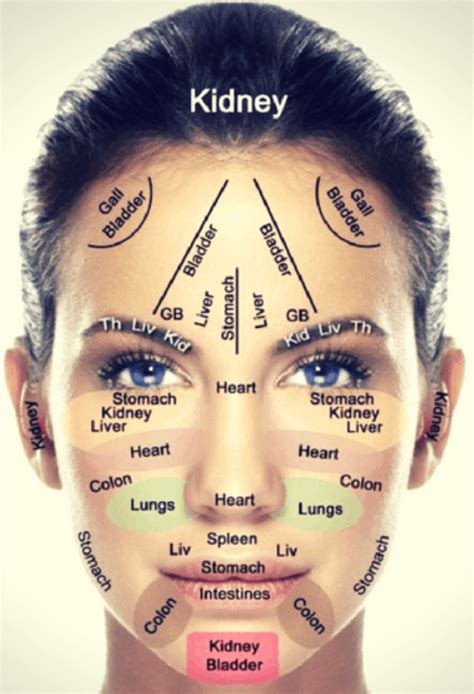 face-reflexology-map - Best Gua Sha Tools