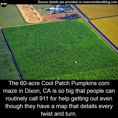 Patch pumpkin maze corn in 2020 | Cool patches, Corn maze, Pumpkin