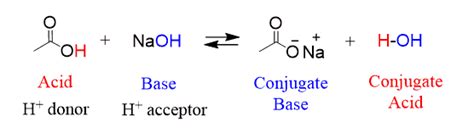 How to Determine the Position of Equilibrium for an Acid–Base Reaction - Chemistry Steps