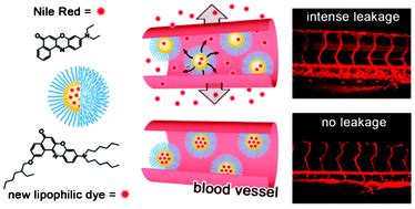 Highly lipophilic fluorescent dyes in nano-emulsions: towards bright ...