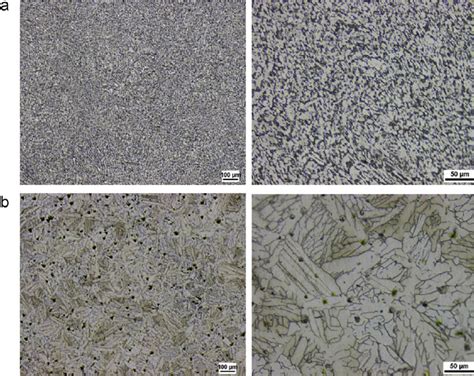 Optical images of the microstructure of the Ti–6Al–4V alloys (a) rolled ...