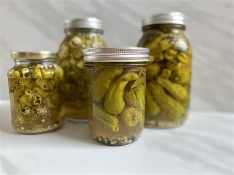 Recipe Pickled Peppers Italian at Lea Pagan blog