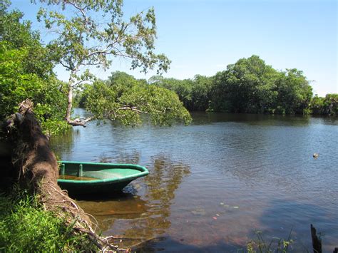 Río Hondo: el afluente que urge proteger para conservar al manatí ...