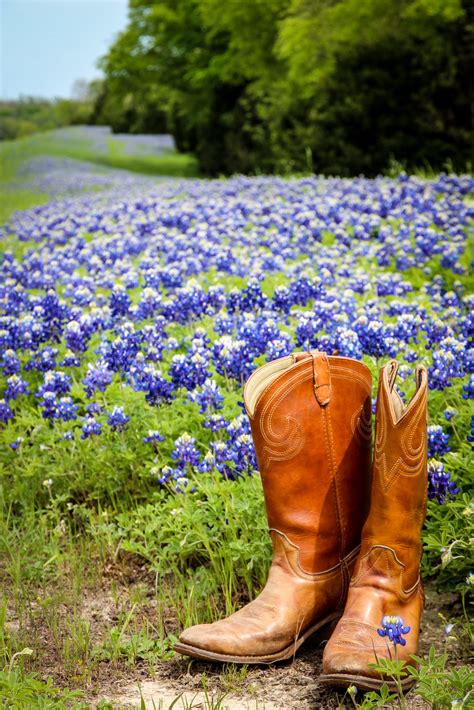 7 of the Best Places to See to Bluebonnets in Texas (+ FAQ!)