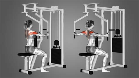 Bent Over Lateral Raise Or Reverse Pec Deck Flye