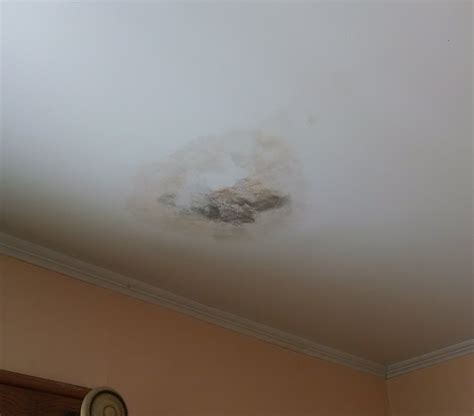 How To Paint A Moldy Bathroom Ceiling : We Ve Been Cleaning This Off ...