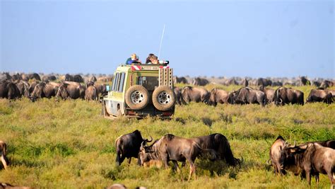 Five Intimate Safari Experiences In Tanzania - The Lux Traveller