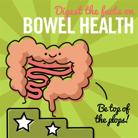 Digest the facts on bowel health - Active Nation