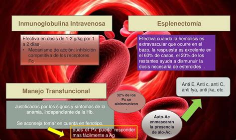 Tratamiento anemia hemolitica autoinmune