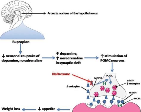 Bupropion Weight Loss Side Effects - comicgala