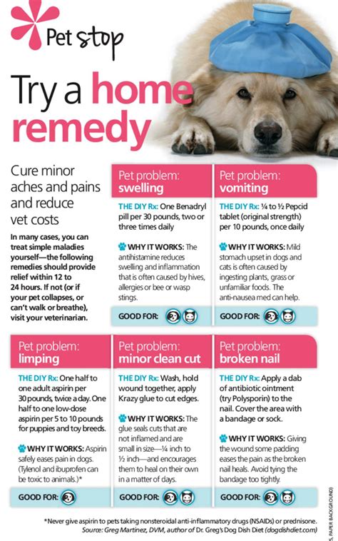 home remedies | Dog care, Dog remedies, Pet remedies