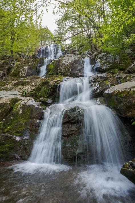 5 Best Waterfall Hikes in Shenandoah National Park - The National Parks ...